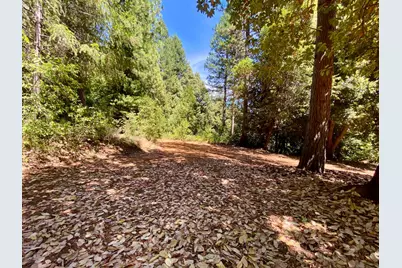 17385 Ashbury Way, Camptonville, CA 95922 - Photo 85