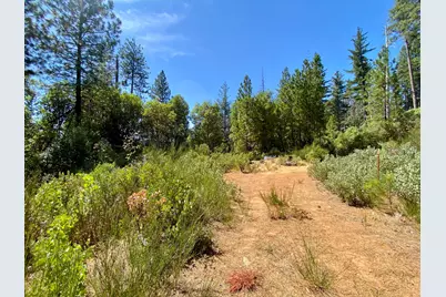 17385 Ashbury Way, Camptonville, CA 95922 - Photo 91