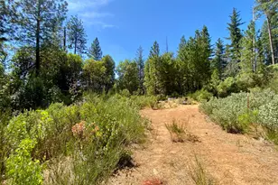 17385 Ashbury Wy, Camptonville, CA 95922 - Photo 91