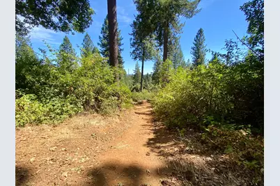17385 Ashbury Way, Camptonville, CA 95922 - Photo 69