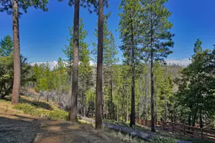 5855 Sly Park Rd, Pollock Pines, CA 95726 - Photo 49