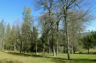 13376 Rue Montaigne, Oregon House, CA 95962 - Photo 33