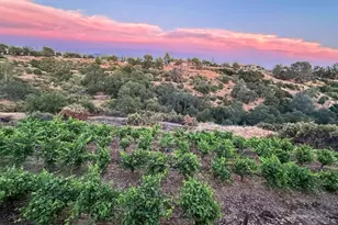 3235 Hagen Rd, Valley Springs, CA 95252 - Photo 39