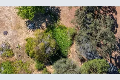 6590 Marysville Road, Browns Valley, CA 95918 - Photo 71