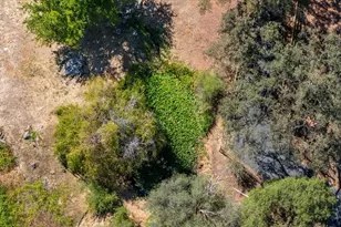 6590 Marysville Rd, Browns Valley, CA 95918 - Photo 71