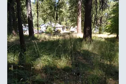 506 Silva Avenue, Nevada City, CA 95959 - Photo 5