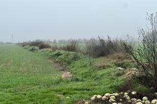 15238 Sunset Dr, Livingston, CA 95334 - Photo 23