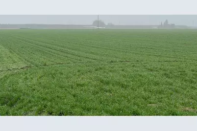 15238 Sunset Drive, Livingston, CA 95334 - Photo 27