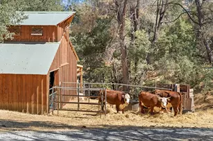 2004 Bruin Trl, Placerville, CA 95667 - Photo 59