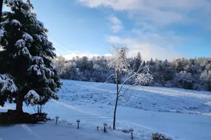 6545 Kelsey Rd, Placerville, CA 95667 - Photo 75