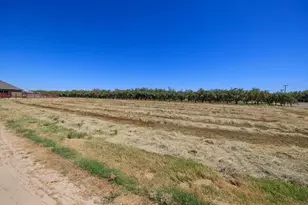 19206 Bloss Ave, Hilmar, CA 95324 - Photo 49