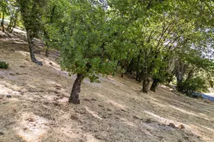 19634 Venus Ct, Grass Valley, CA 95949 - Photo 61