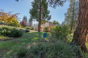15579 Jesus Maria, Mokelumne Hill, CA 95245 - Photo 49