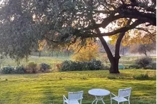 15579 Jesus Maria, Mokelumne Hill, CA 95245 - Photo 77