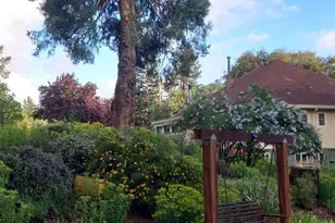 15579 Jesus Maria, Mokelumne Hill, CA 95245 - Photo 83