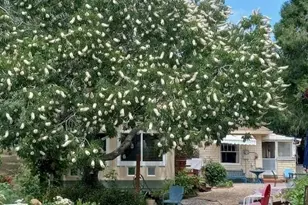 15579 Jesus Maria, Mokelumne Hill, CA 95245 - Photo 91