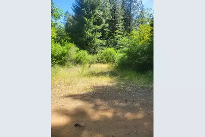 15555 Buckeye Ridge Road, Nevada City, CA 95959 - Photo 1