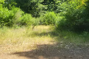 15555 Buckeye Ridge Rd, Nevada City, CA 95959 - Photo 1