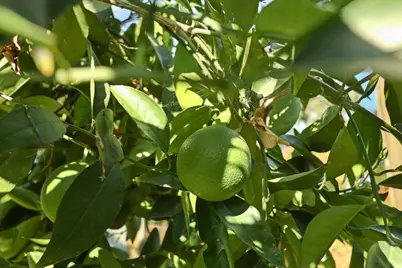 1747 Argonne Drive, Stockton, CA 95203 - Photo 47