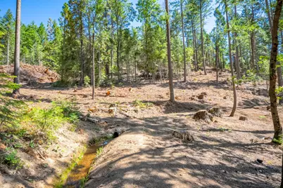 1901 Wyehka Way, Mount Shasta, CA 96067 - Photo 57