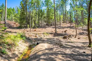 1901 Wyehka Way, Mount Shasta, CA 96067 - Photo 57