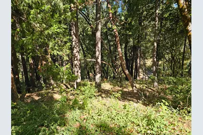 10680 Success Cross Road, Nevada City, CA 95959 - Photo 5