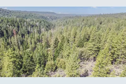 21670 Clute Canyon Road, Volcano, CA 95689 - Photo 5