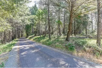 21670 Clute Canyon Road, Volcano, CA 95689 - Photo 3