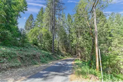 21670 Clute Canyon Road, Volcano, CA 95689 - Photo 9