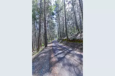 21670 Clute Canyon Road, Volcano, CA 95689 - Photo 7