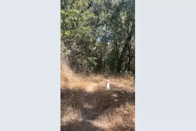 15037 Leiter Way, Grass Valley, CA 95949 - Photo 3