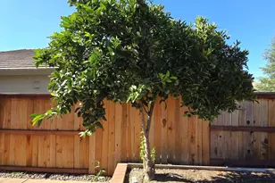 5324 Dasco Way, Sacramento, CA 95835 - Photo 65