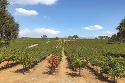 18739 Clements Road, Lodi, CA 95240 - Photo 27