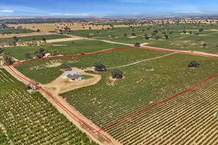 18739 Clements Rd, Lodi, CA 95240 - Photo 7