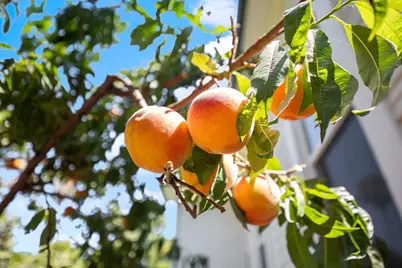 9190 Old State Hwy, Newcastle, CA 95658 - Photo 31