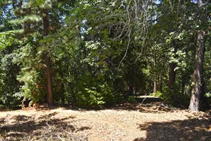 23866 Buckboard Ct, Sonora, CA 95370 - Photo 59