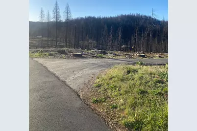 10122 Grizzly Flat Road, Grizzly Flats, CA 95636 - Photo 3