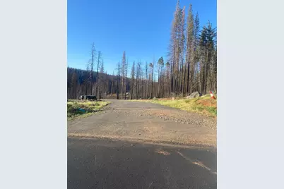 10122 Grizzly Flat Road, Grizzly Flats, CA 95636 - Photo 5