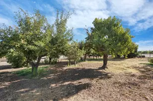 14267 E Peltier Rd, Acampo, CA 95220 - Photo 45
