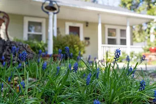 212 Pleasant St, Grass Valley, CA 95945 - Photo 1