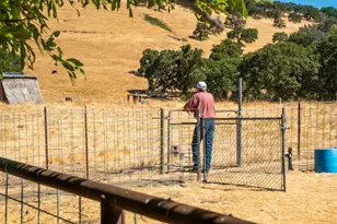 3206 Gillam Rd, Valley Springs, CA 95252 - Photo 25