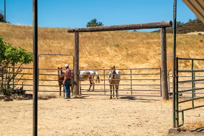 3206 Gillam Road, Valley Springs, CA 95252 - Photo 37