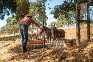 17761 Grizzly Bear Dr, Grass Valley, CA 95949 - Photo 33