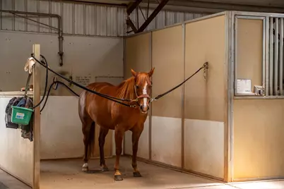 20945 Bear Hollow Road, Grass Valley, CA 95949 - Photo 21
