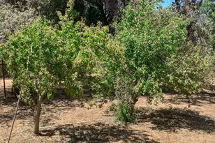 5857 Allred Rd, Mariposa, CA 95338 - Photo 53