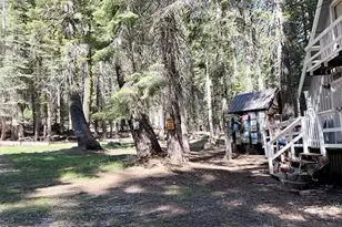 1340 Gooseberry Rd, Strawberry Valley, CA 95981 - Photo 3