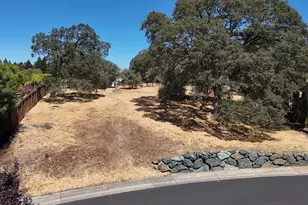 683 Avalanche Peak Way, Folsom, CA 95630 - Photo 1