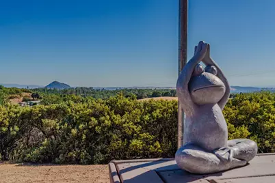 17234 Oak Road, Jackson, CA 95642 - Photo 55