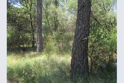 24271 Hoyt Crossing Road, North San Juan, CA 95960 - Photo 39