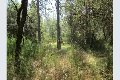 24271 Hoyt Crossing Road, North San Juan, CA 95960 - Photo 33